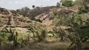 Bukit Teletubbies Semarang Terbakar, Damkar Dikerahkan