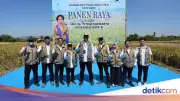 BULOG dan Komisi IV DPR Panen Raya di Klaten untuk Swasembada Pangan