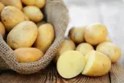 Cara Simpan Kentang Agar Tahan Berbulan-Bulan Tanpa Tunas