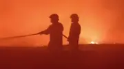 Damkar Ralat Penyebab Kebakaran TPA Benowo: Bukan Flare Suporter