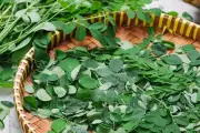 Daun Kelor dan Ikan Teri Punya Kalsium Lebih Tinggi dari Susu Sapi