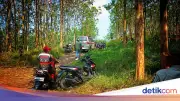 Delon Hapus Jejak Digital Usai Bunuh Yani, Polisi Bongkar Lewat Forensik