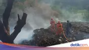 DLH Bogor Beri Sanksi Pelaku Bakar Sampah Liar di Cikeas, Wajib Bersihkan Lokasi