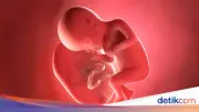 Geger Penyelundupan Plasenta Bayi untuk Bahan Baku Obat Awet Muda