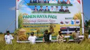Gubernur Kalteng Hadiri Panen Raya 25 Ribu Hektare dan Resmikan Waterfront City
