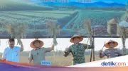 Gubernur Lampung dan Pangdam Ikut Panen Raya Dukung Swasembada Pangan