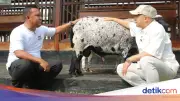 Irfan Hakim Terkesan dengan LASKAR Farm Lapas Karawang: Bukan Sekadar Peternakan