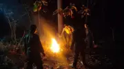 Karhutla di Hutan Ponorogo Hanguskan 2,3 Hektare, Diduga Ulah OTK