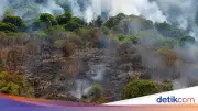 Karhutla di Kotim Kalteng, BNPB Kerahkan Heli Water Bombing