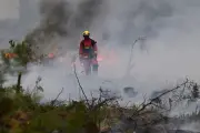 Kebakaran Hutan di Eropa Jadi Peringatan Mendesak bagi Gen Z Indonesia