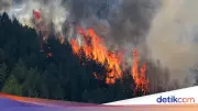 Kebakaran Maut Spanyol: 12 Tewas, 23 Hilang, 3.200 Hektar Terbakar
