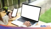 Magang Nasional 2026 Batch 1 Angkatan 2: Syarat, Jadwal, dan Cara Daftar