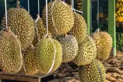 Malaysia Gaet Wisatawan Korsel Lewat Durian Musang King