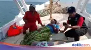 Mengapung 4 Hari Pakai Gabus, Dua Korban KM Nurul Salsa Selamat