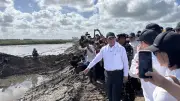 Mentan Amran Diserang Buzzer Soal Program Cetak Sawah Papua, Petani Membela