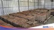 Napi di Lapas Ciangir Raup Rp 800 Ribu Per Bulan dari Urus Ternak