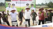 Pemulihan Lahan Pertanian Aceh Capai 32 Persen, Sekda Apresiasi Satgas PRR