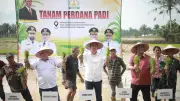 Pemulihan Pertanian Aceh Capai 32 Persen Usai Bencana Hidrometeorologi