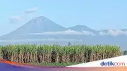 Pendakian Semeru Ditutup 7-18 Agustus 2026 Hormati Hari Raya Karo