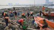 Pilah Sampah di Kepulauan Seribu Capai 59 Persen, Infrastruktur Diperkuat
