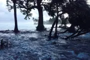 Remaja China Bohongi Orangtua Demi Jadi Relawan Banjir Guangxi