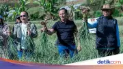 Satgas Pangan Polri Panen 1.470 Ton Bawang Putih di Lombok Timur