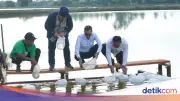 Satgas PRR Pulihkan Tambak dan Kebun Kopi untuk Percepat Ekonomi Aceh