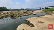 Sungai Cisadane Surut, Warga Krisis Air Bersih