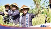 Titiek: Swasembada Pangan Harus Seiring dengan Kesejahteraan Petani