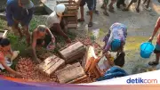 Truk Pengangkut 1,3 Ton Telur Terguling di Purbalingga, Warga Jarah Muatan Saat Sopir Terjebak