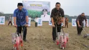 Wagub Jateng Apresiasi SGN Manfaatkan 57 Hektare Lahan Tidur untuk Ketahanan Pangan