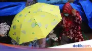 WNA Kembali Camping di Trotoar UNHCR Jaksel Meski Sudah Ditertibkan
