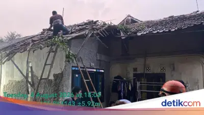Hujan Deras di Bogor, Pohon Tumbang Timpa Rumah Warga