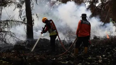 Karhutla Ketapang: Satu Tewas Terbakar, Puluhan Hektare Hangus