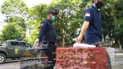 Kemenhut Luncurkan PeSATS untuk Cegah Perdagangan Satwa Ilegal