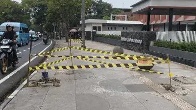Polisi Bandung Belum Terima Laporan Penebangan 10 Pohon Ilegal