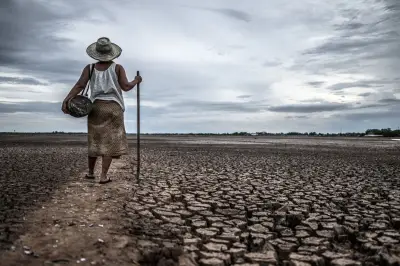 WMO: El Nino 2026 Diprediksi Kuat, Waspada Bencana Ekstrem