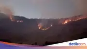 Kebakaran Hutan Bromo Meluas ke Savana, Petugas Buat Sekat Bakar