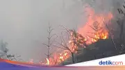 Kebakaran Hutan Gunung Bromo, 3 Akses Wisata Ditutup