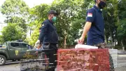 Kemenhut Luncurkan PeSATS untuk Cegah Perdagangan Satwa Ilegal