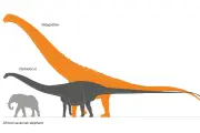 Patagotitan Mayorum, Dinosaurus Terbesar Sepanjang Sejarah Bumi