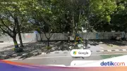 Pohon di Depan Lapangan Padel Ditebang, Wali Kota Bandung Murka