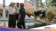 Rieke Heran Napi Lapas Karawang Tak Mau Pulang: Mau Kerja di Sini?