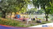 Taman Situ Lembang, Berusia 100 Tahun di Kawasan Old Money Jakarta
