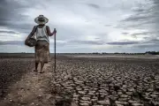WMO: El Nino 2026 Diprediksi Kuat, Waspada Bencana Ekstrem